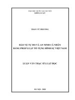 Bảo vệ tự do và an ninh cá nhân bằng pháp luật tố tụng hình sự việt nam 