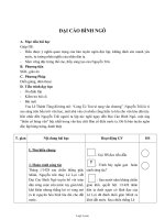 Giáo án Ngữ văn 11: Đại cáo bình ngô