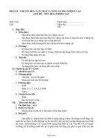 Giáo án Sinh học 11 - Chủ đề: Tiêu hóa ở động vật