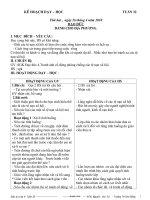 Giáo án các môn lớp 4 - Tuần 32 năm 2010