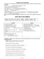 Bài tập tự chọn môn Tiếng Anh 11