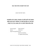 Nghiên cứu thực trạng và đề xuất sử dụng hiệu quả đất trồng cà phê huyện cư m039;gar, phục vụ tái canh cây cà phê tỉnh đắk lắk  luận án tiến sĩ  quản lý đất đai 9 85 01 03 
