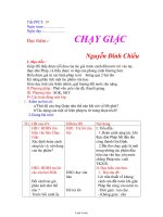 Giáo án dạy Ngữ văn 11 tiết 19 Đọc thêm: Chạy giặc - Nguyễn Đình Chiểu