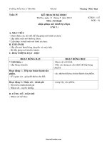 Giáo án Kỹ thuật lớp 5 - Tiết 35: Lắp ghép mô hình tự chọn ( Tiết 3 ) - Trương Tiến Đạt - Trường Tiểu học 