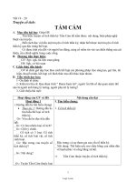 Giáo án môn Ngữ văn 11 - Tiết 19, 20: Tấm cám