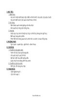 Giáo án Mĩ thuật 1 - Bài 20: Nặn quả chuối