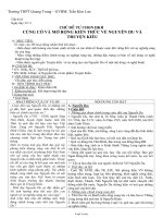 Giáo án Tự chọn lớp 10 - Củng cố và mở rộng kiến thức về nguyễn du và Truyện Kiều