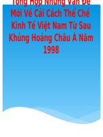 SEMINAR tổng hợp những vấn đề mới về cải cách thể chế  kinh tế VN từ sau khủng hoảng châu á năm 1998 (KINH tế THỂ CHẾ) 