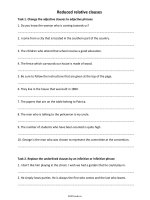 Bài tập về Mệnh đề quan hệ rút gọn - Môn Tiếng Anh Lớp 10