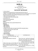 Giáo án Lớp 4 - Tuần 12 - Năm học 2010-2011 - Lương Thị Dung