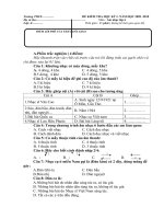 HÌNH ĐỘNG( Chuyền bóng cao tay)