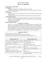 Giáo án Vật lý lớp 11 - Trường Trần Quốc Tuấn - Bài 19 đến bài 22