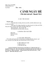 Giáo án môn Ngữ văn lớp 10 (cơ bản) - Cảnh ngày hè