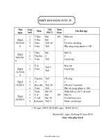 Kế hoạch giảng dạy khối lớp 1 - Tuần 29 năm 2010