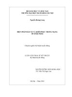 Các biện pháp bảo vệ và khôi phục trong mạng IP over WDM 