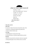 GIÁO ÁN LĨNH VỰC PHÁT TRIỂN THẨM MỸ Hoạt động : Âm nhạc Đề tài: Hát vận động múa bài “ Xòe Hoa” Chủ điểm : Tết – mùa xuân Đối tượng : Trẻ 4-5 tuổi