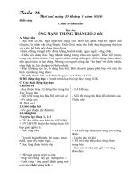 Giáo án lớp 2D- Tuần 20