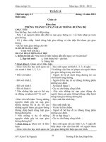 Giáo án tuần 10 lớp 5