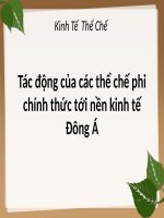 SEMINAR tác động của các thể chế phi chính thức tới nền kinh tế đông á (KINH tế THỂ CHẾ) 