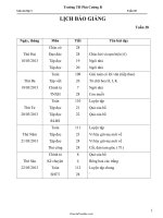 Giáo án Tổng hợp môn lớp 1 - Tuần dạy 28 - Trường TH Phú Cường B