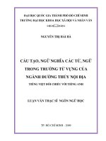 Cấu tạo, ngữ nghĩa các từ, ngữ trong trường từ vựng của ngành đường thủy nội địa (tiếng việt đối chiếu với tiếng anh)     