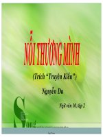 Giáo án môn Ngữ văn khối 11 - Nỗi thương mình