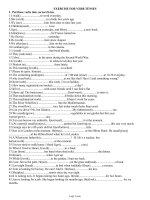 Bài ôn tập môn Tiếng Anh 11 - Exercise for verb tenses