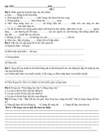 Đề Tiếng Việt 5 - Lần 3