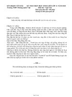 Đề thi chọn học sinh giỏi lớp 11 năm 2010 Trường THPT Hoàng Quốc Việt Môn thi: Ngữ Văn