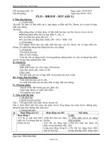 Giáo án môn Hóa học lớp 10 - Tiết 43: Flo - Brom - iot (tiết 1)