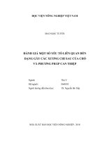 Đánh giá một số yếu tố liên quan đến dạng gãy các xương chi sau của chó và phương pháp can thiệp   