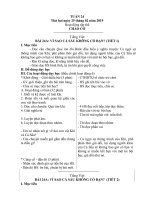 Giáo án lớp 2D_Tuần 24_GV: Nguyễn Diệu Vân