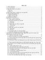 Trường Tiểu học Quảng Kim