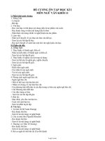 Đề cương ôn tập học kì I môn Ngữ Văn khối 11