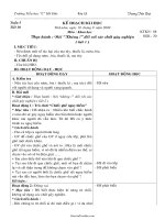 Giáo án Khoa học lớp 5 - Tiết 10: Thực hành nói không đối với ma túy và các chất gây nghiện - Trương Tiến Đạt - Trường Tiểu học 