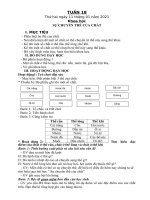 GIÁO ÁN TUẦN 18 - BC (NĂM HỌC 2020-2021)