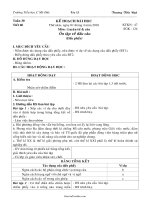 Giáo án Luyện từ và câu lớp 5 - Tiết 60: Ôn tập về dấu câu (Dấu phẩy) - Trương Tiến Đạt - Trường Tiểu học 