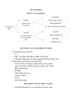 Đề cương ôn tập sinh