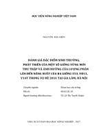 Đánh giá đặc điểm sinh trưởng, phát triển của một số giống vừng mới thu thập và ảnh hưởng của lượng phân lân đến năng suất của ba giống v33, vđ11, v14t trong vụ hè 2016 tại gia lâm, hà nội   