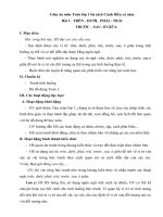 Giáo án môn Toán lớp 1 bộ sách Cánh Diều cả năm