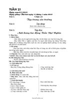 Bài soạn các môn khối 4 - Tuần 21 năm 2010