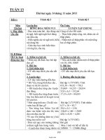 Giáo án môn Tin học 10 - Tiết 45: Bài tập định dạng văn bản