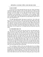 bai1 ls 11\VosiSamurai