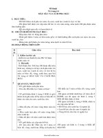 Giáo án môn Mĩ thuật 4 - Tháng 9