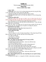 GIÁO ÁN TUẦN 21 - BC (NĂM HỌC 2020-2021)