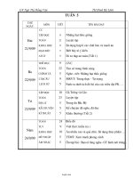 Giáo án Lớp 4 - Tuần 5-7 - Năm học 2010-2011 - Ngô Thị Hồng Vân