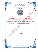 Luận văn kinh tế Hoàn thiện hoạt động digital marketing tại công ty TNHH Du lịch Xanh Việt