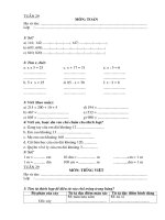 BÀI TẬP CUỐI TUẦN 29 -LỚP 2