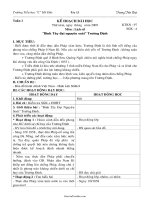 Giáo án Lịch sử lớp 5 - Tiết 1: Bình Tây Đại nguyên soái Trương Định - Trương Tiến Đạt - Trường Tiểu học 