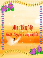 Bài 25C - Tiếng Việt Lớp 2 -Ngày hội ở khắp nơi (Tiết 1)